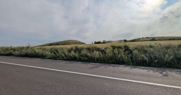 Sărata- l&acirc;ngă Mun. Bacău- 4000 mp- oportunitate investi?