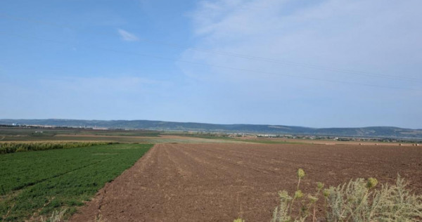 Sărata- l&acirc;ngă Mun. Bacău- 4000 mp- oportunitate investi?