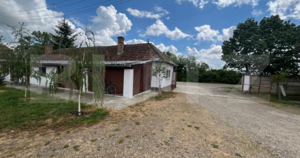 Ferma de bovine - oportunitate pentru investitori sau fermie