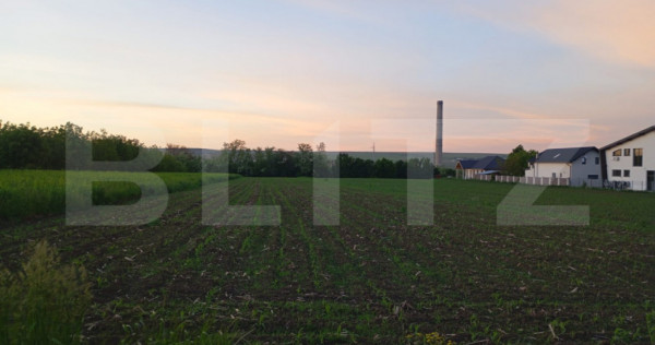 Parcela 5 ari de vanzare, pretabil loc pentru casa, Lisaura
