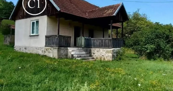 V&acirc;nd Proprietate la Valea Bradului,