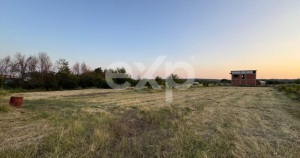 Teren 1650 mp intravilan Trivale - Olteni &ndash; cadru natural