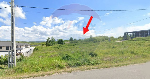Teren intravilan 974 mp, Paleu, Investiție, Inel Metropolitan, V&acirc;nzare