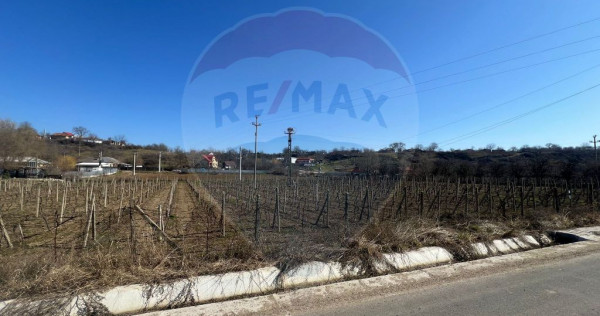 Teren intravilan Movilita, 2700mp