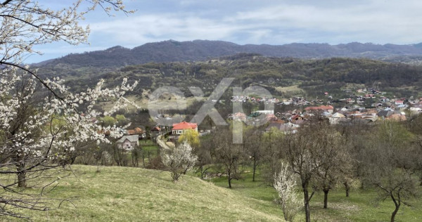 ???? Oportunitate investiție &icirc;n Corbi, Argeș | 22.000 mp