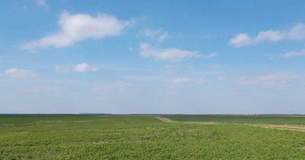 Teren extravilan 2000 mp la 25 km de Bucuresti