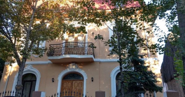 Vila reprezentativa - Cotroceni