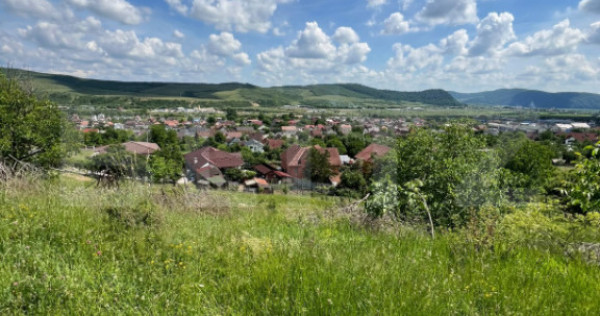 Teren Extravilan de vanzare 3000 m - zona Viisoara