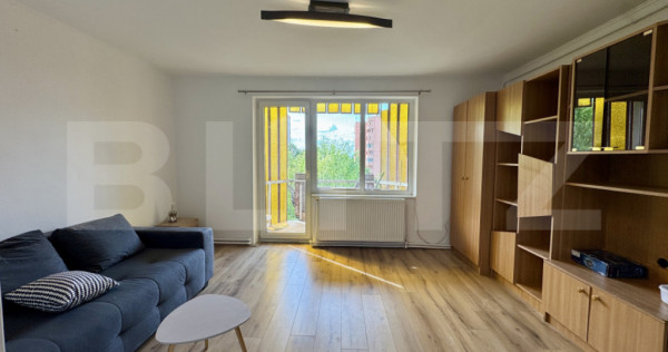 Apartament o camera, 35 mp, zona Dambu Pietros