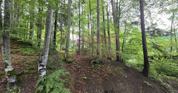 Teren intravilan 720 mp Sinaia