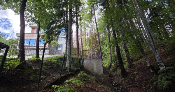 Teren intravilan 720 mp Sinaia