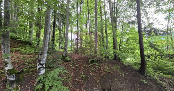 Teren intravilan 720 mp Sinaia