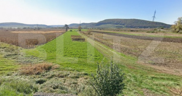 Oportunitate! 59 ari teren agricol la doar 13.000 &euro;