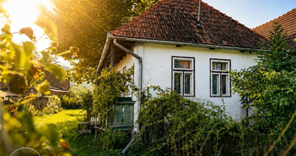 FILM! Proprietate traditionala,de poveste,cu 3.000 mp teren