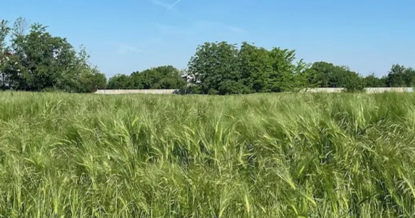 Parcele teren extravilan