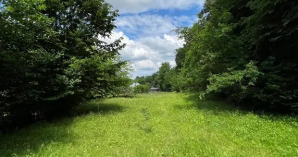 Teren intravilan de vanzare Merisani, Arges, 2291 mp