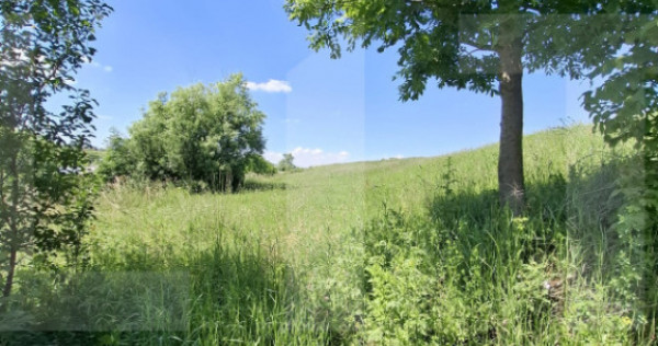 Teren intravilan 2.450 mp &icirc;n Tudora &ndash; ideal pentru caban?