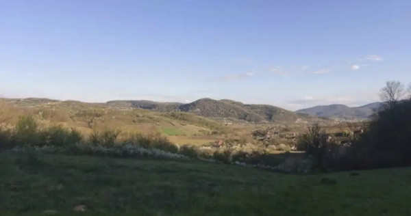 Teren extravilan cu padure proprie