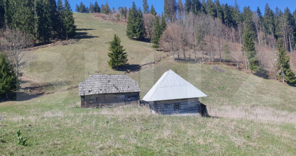 Teren extravilan, cu o suprafata generoasa de 206.189 mp in