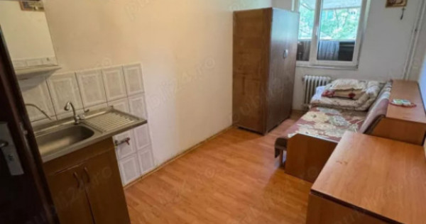 Camera de camin Valea Rosie