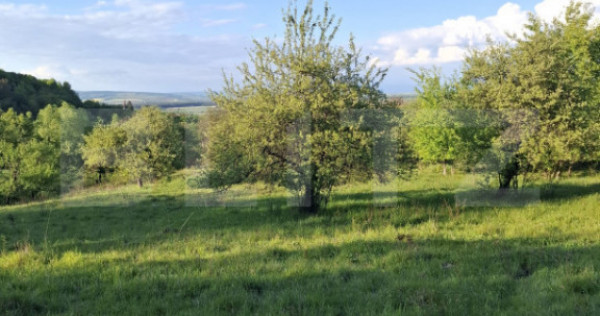 Teren extravilan de vanzare, 10.000 mp, in Valea Zizinului