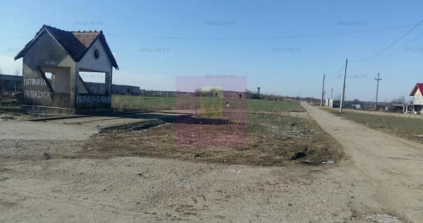 Teren Balotesti- Saftica- ideal pentru constructie locuinte.
