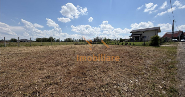 TEREN INTRAVILAN 800 MP | ZONA PALEU | BIHOR