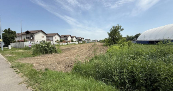 Oportunitate Investitie Teren Stradal 5500 MP l Pentru Proie