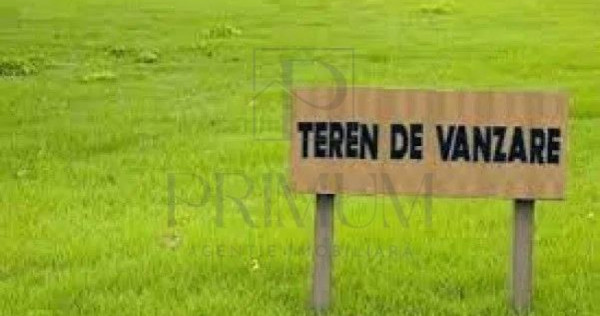 Sacalaz- teren extravilan-
