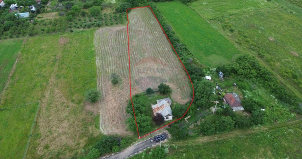 Teren 4,229mp Blidari (Carligele) / Strada Simionescu