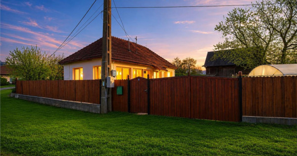 FILM! Casa cu sura, pivnita, balta cu pesti, 2.280 mp teren