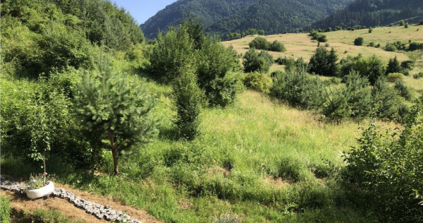 BLOC VILA IN NATURA | 2 camere etaj intermediar cu parcare |