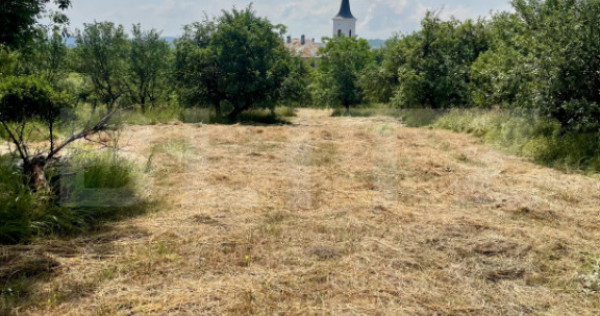 Teren intravilan 3.200 mp | Budacu de Jos | Deschidere la 2