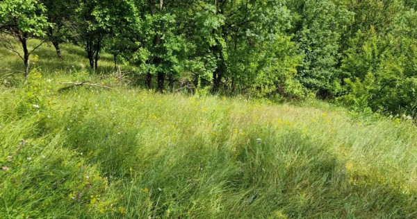 V&acirc;nd teren intravilan, comuna Șotrile, județul Prahova 2034mp
