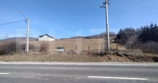 Teren Intravilan de vanzare, 12 ari &icirc;n Crainimat