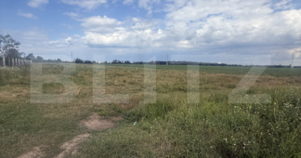 Teren intravilan, 1.000 mp, zona Priseaca
