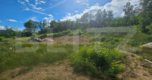 Teren intravilan, 2.000 mp, 2 parcele, zona Lupșa