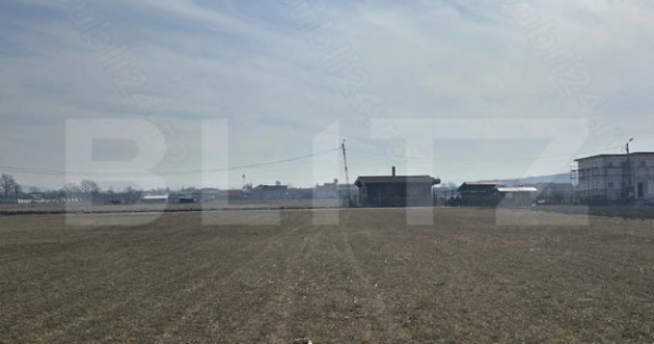 Teren intravilan de v&acirc;nzare, 1.400 mp &ndash; Șard, jud. Alba