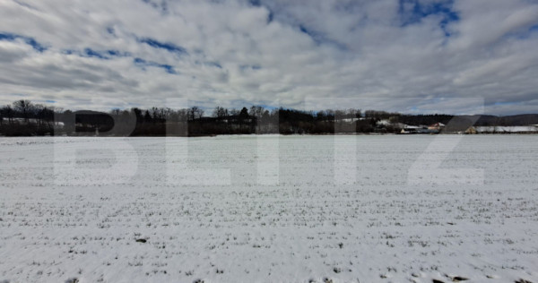 Teren intravilan agricol de v&acirc;nzare, 10.640 mp, front, Vulc