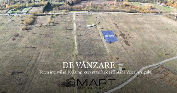 Teren 1000 mp, curent trifazic si fantana Valea Avrigului