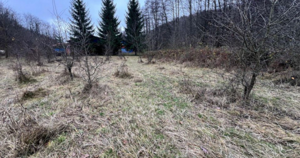 Teren intravilan 6.500 m&sup2;&ndash;Deschidere 144 ml drum europ...