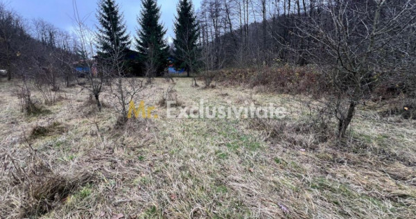 Teren intravilan 6.500 m&sup2;&ndash;Deschidere 144 ml drum europ...