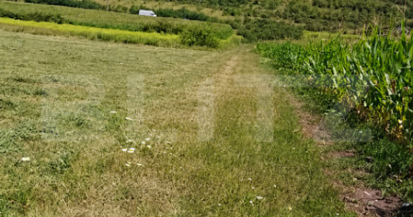 Teren extravilan 5.800 mp, &icirc;mpărțit &icirc;n 3 loturi &ndash; Viil