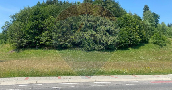 Teren Extravilan 3866 mp in Vama Buzaului la Strada Princ...