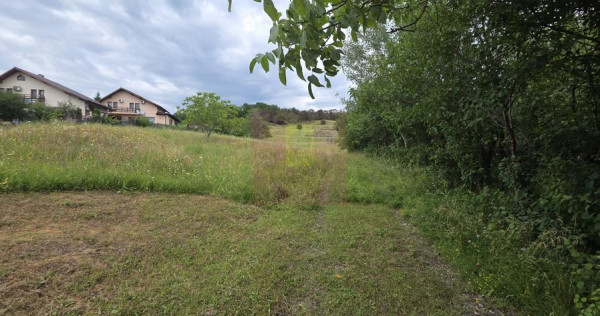 Teren de vanzare in Campina, Muscel