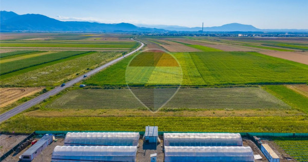 COMISION 0% | Teren intravilan 7.500 mp | Tarlungeni, Brasov