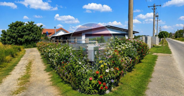CASĂ NOUĂ 2024 | BĂLĂCEANCA &ndash; CERNICA | 469 MP TEREN