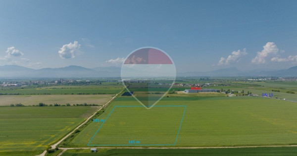 Teren industrial de v&acirc;nzare &ndash; DN13, Feldioara, Brasov!