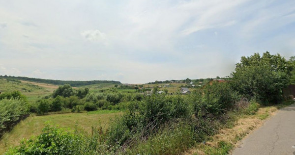 TEREN intravilan - CORNESTI 650 MP, 29.900 EURO