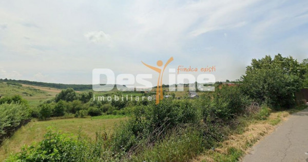 TEREN intravilan - CORNESTI 650 MP, 29.900 EURO